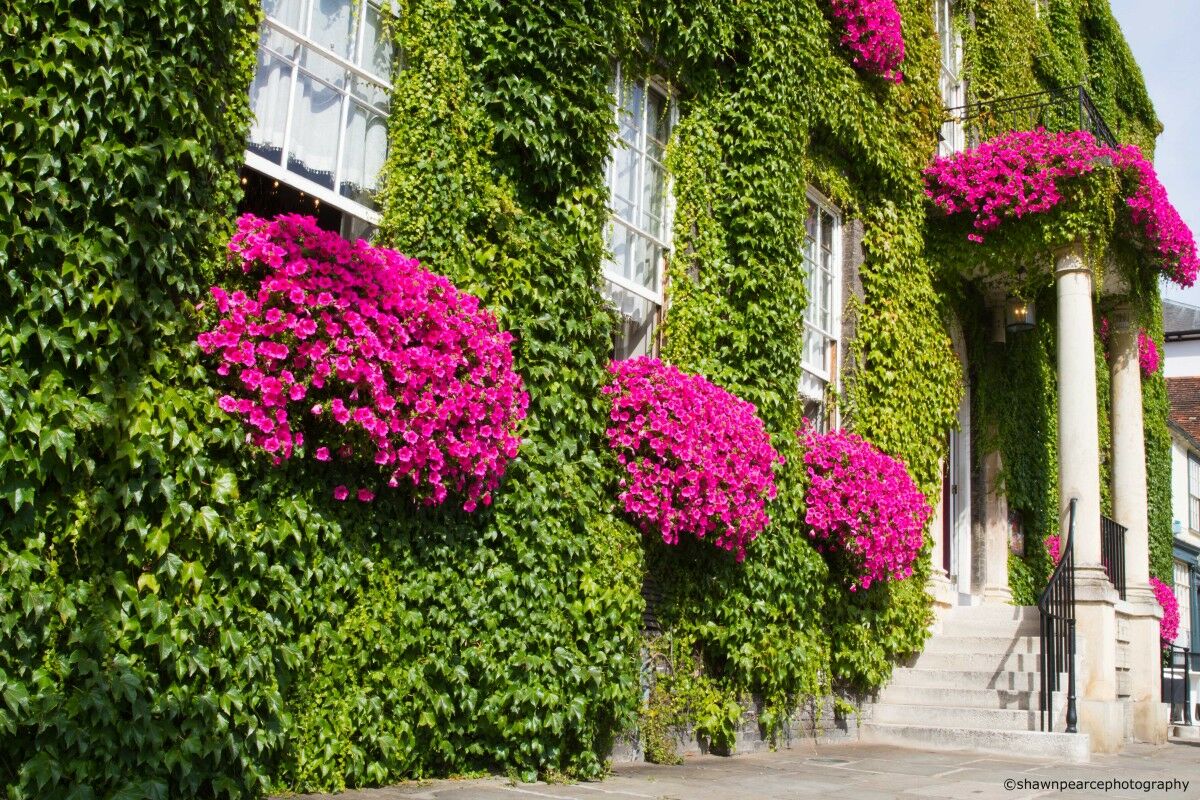Angel Hotel Bury St. Edmunds Екстер'єр фото